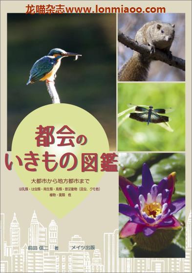 [日本版]Mates 都会のいきもの図鑑 都市生物图鉴PDF电子书下载